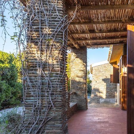 شقة Il Glicine Cala Lupo ستينتينو المظهر الخارجي الصورة